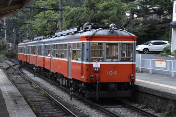 Fototapeta premium 日本の自然、日本の食べ物