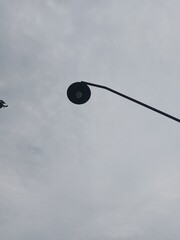 light bulb on the sky