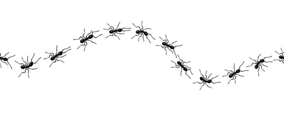 Worker ants trail line flat style design vector illustration isolated on white background. Top view of ants bug road trail marching in the line row. Pest control or insect searching concept.