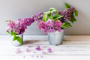 branches of spring purple lilacs in buckets on a white wooden table.