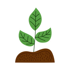 plant nature icon