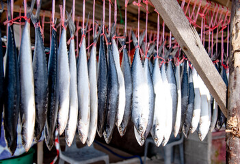 Dried salted fish hung by straw rope for sale by the sea, Rayong Province, Thailand.