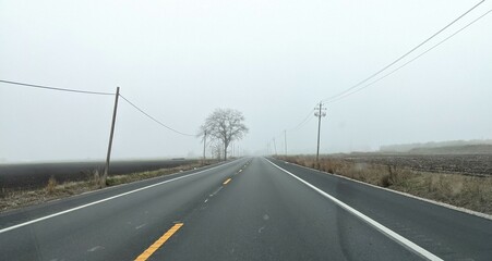 Fototapeta premium Road in the fog