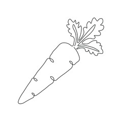 Carrot line drawing vector. Food concept. Isolated icon. Vegetable Vector Design. Design linear artwork element. Flat design. one-line object.
