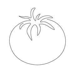 Tomato line drawing vector. Food concept. Isolated icon. Vegetable Vector Design. Design linear artwork element. Flat design. one-line object.