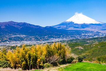 Fototapeta premium 静岡県三島市佐野から眺める富士山