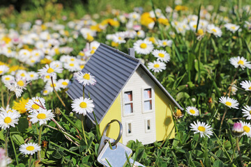 Model house in a lush meadow with daisies as a symbol of the desire for a home in the countryside