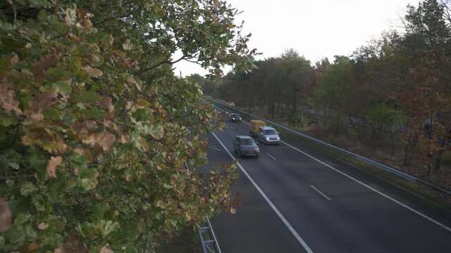 Foliage Blowing In The Wind With Vehicles Driving At A28 Motorway Asphalt Road In Netherlands. - wide shot