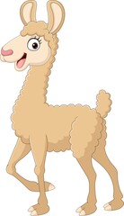 Cute alpaca cartoon on white background