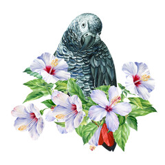 tropical leaves, flowers and bird parrot on an isolated white background, watercolor illustration