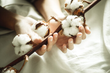 a branch of cotton in hand