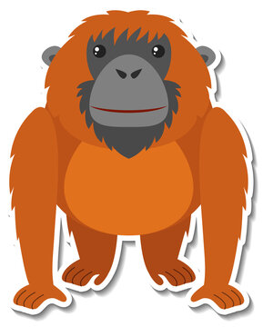 Chubby orangutan animal cartoon sticker