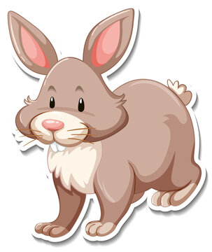 Rabbit cartoon character on white background