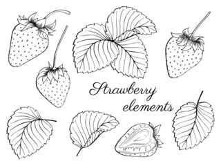 Set of fresh strawberry. Collection of ripe berry, leaves, leaf, plant, half, slice, seeds. Outline freehand drawn. Vector illustration isolated on white background. Separate objects. Coloring book