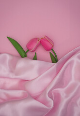 Two Flowering Tulips as Symbol of Romance and Love in silk bad