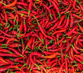 Czerwona papryka Chili, piękne naturalne tło gastronomiczne.