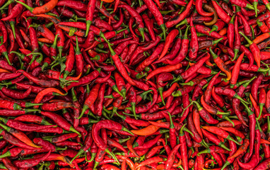 Czerwona papryka Chili, piękne naturalne tło gastronomiczne. - obrazy, fototapety, plakaty
