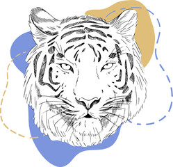 sketch tiger and abstract figures illustration. Vector illustration