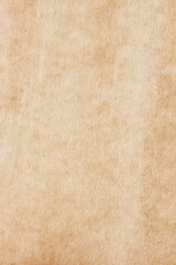 Old Paper texture. vintage paper background or texture; brown paper texture