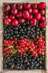 Fresh organic summer berries mix on blue concrete  background. Blueberries, red black currant and cherries. Top view. Concept of summer food. Flat lay, copy space