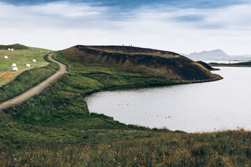 Volcanic Craters In Green Plains. Myvatn, Iceland