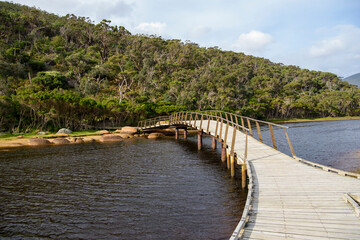 Fototapeta na wymiar Tidal River, Wilsons Promontory, Victoria, Australia