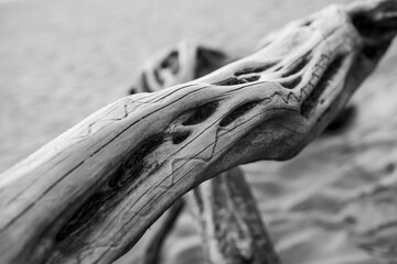 Close of Driftwood in Black and White Photography