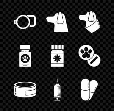 Set Retractable cord leash, Dog, Canned food, Syringe with pet vaccine, and pills, medicine bottle and icon. Vector