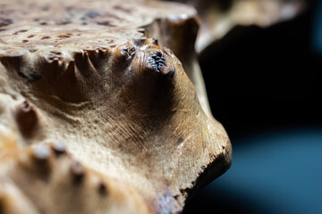 Extreme close-up, wood texture, wooden countertop slab, saw cut wood on black. Isolate.