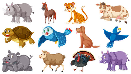 Set of various animals on white background