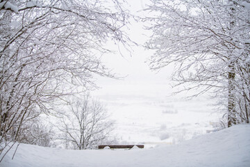 A bench standing on a hill overlooking the misty snow-covered landscape of the northern park.