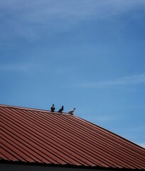 a building red roof with a pigeons relaxing on its