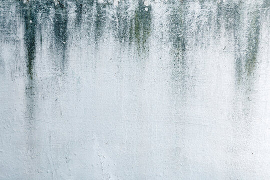 Grunge cracked wall © Leo Lintang