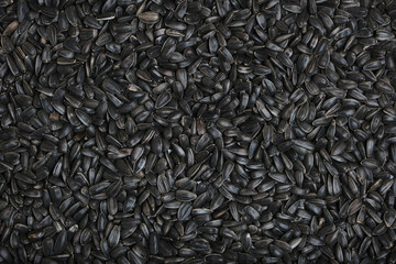Background sunflower seed close up.