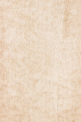 Old Paper texture. vintage paper background or texture; brown paper texture