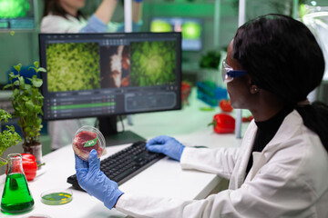 African american chemist researcher holding petri dish with vegan meat in hands typing genetic...