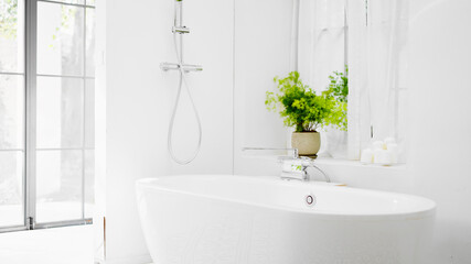 浴室のバスタブとシャワーヘッド