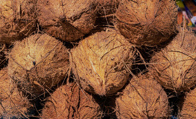 Obraz premium Zbliżenie na kokosy na targu z owocami, tropikalny owoc.