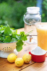 Zubereitung einer erfrischenden Bowle aus frisch geernteten Gartenkräutern.