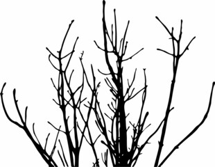 black and dry tree branches on a white background. vector art.