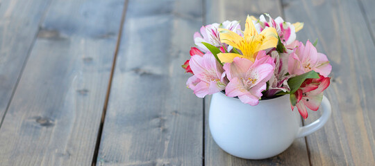 banner with multicolored flowers in white mug with copy space. multicolored alstroemerias, pink, yellow, purple, and red alstroemerias in cup. concept congratulation or holiday.