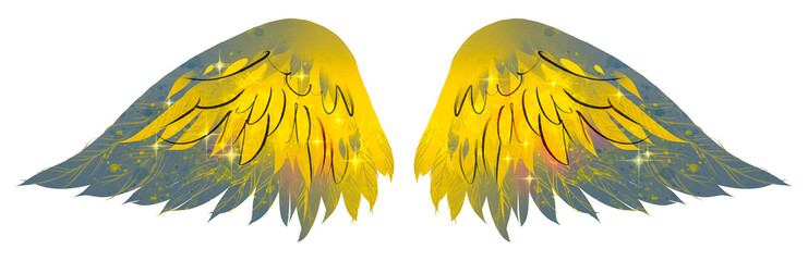 Beautiful magic yellow grey bright wings, raster illustration