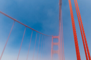Obraz premium cable bridge
