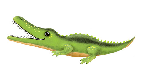 cute illustration crocodile isolated white background