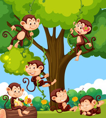 Forest scene with little monkeys doing different activities