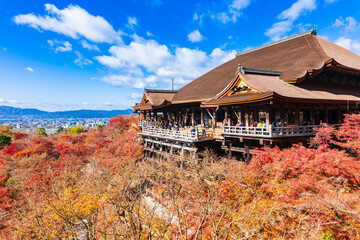 Obraz premium 京都 紅葉の清水寺