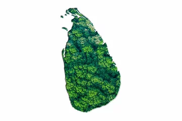 Foto op Aluminium Green Forest Map of Sri Lanka © allexxandarx
