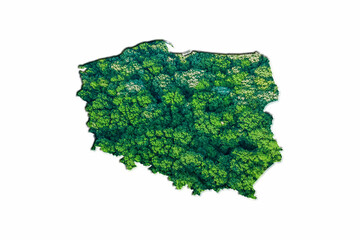 Green Forest Map of Poland