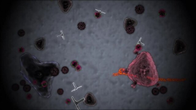 Killer T-cell neutralizing cell invading virus. Microscopic effect on blurred background.