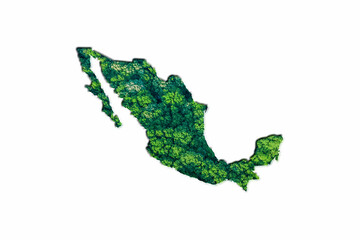 Green Forest Map of Mexico